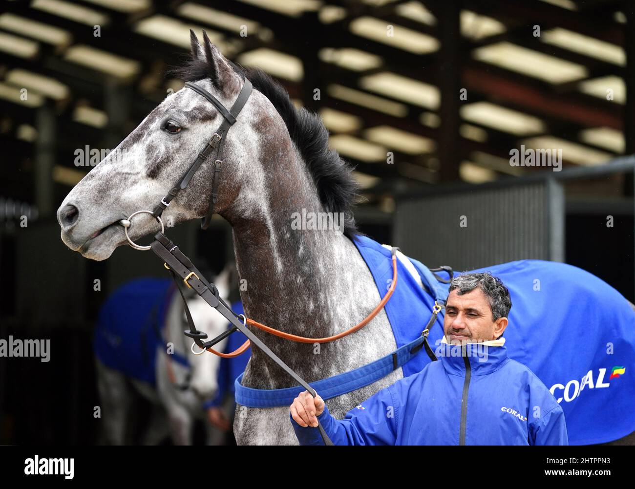 Horse Elixir De Nutz bei einem Besuch auf dem Hof von Colin Tizzard und Joe Tizzard auf der Spurles Farm, Somerset. Bilddatum: Mittwoch, 2. März 2022. Stockfoto