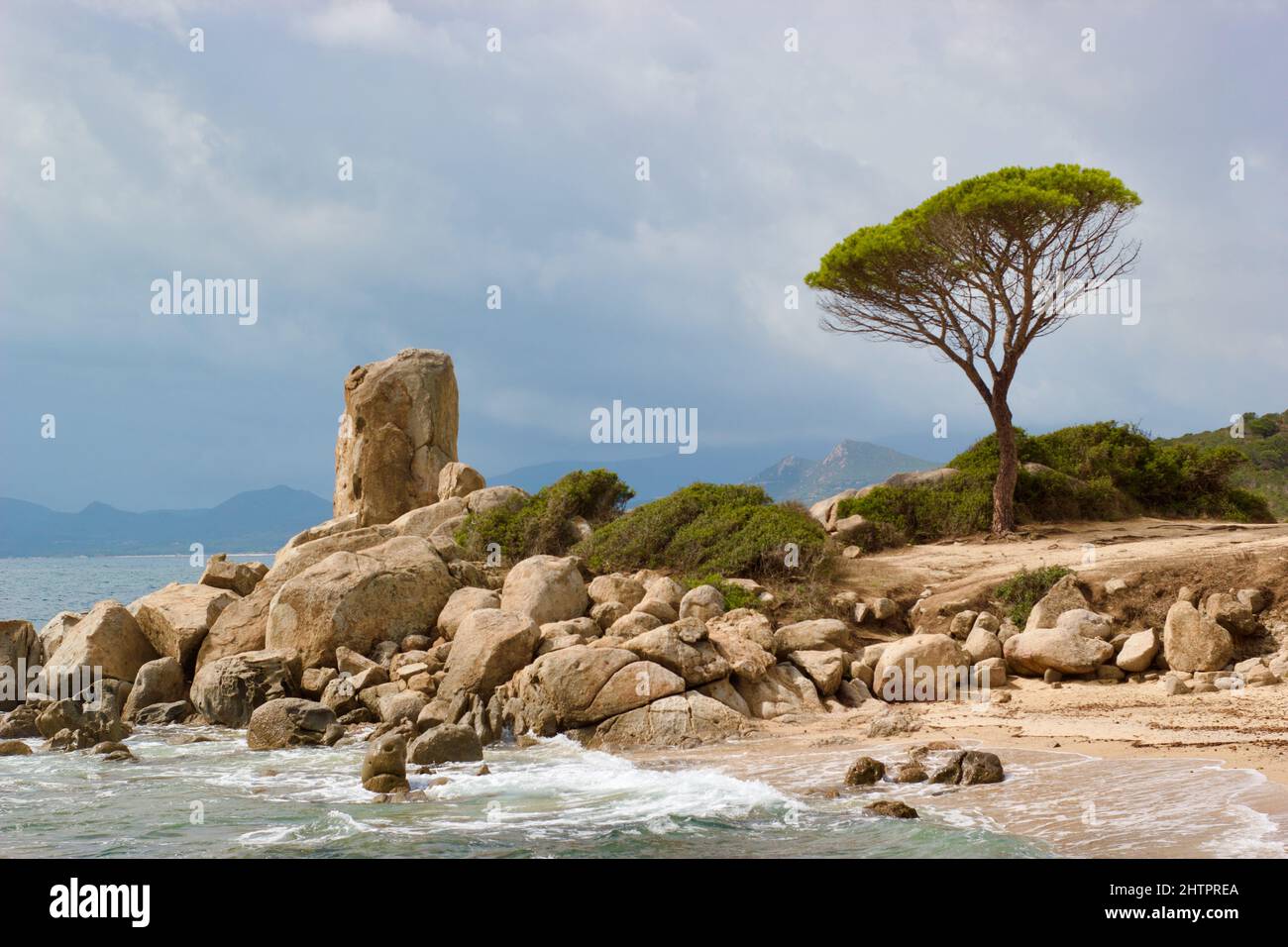 Baum an einem wunderschönen Strand Stockfoto