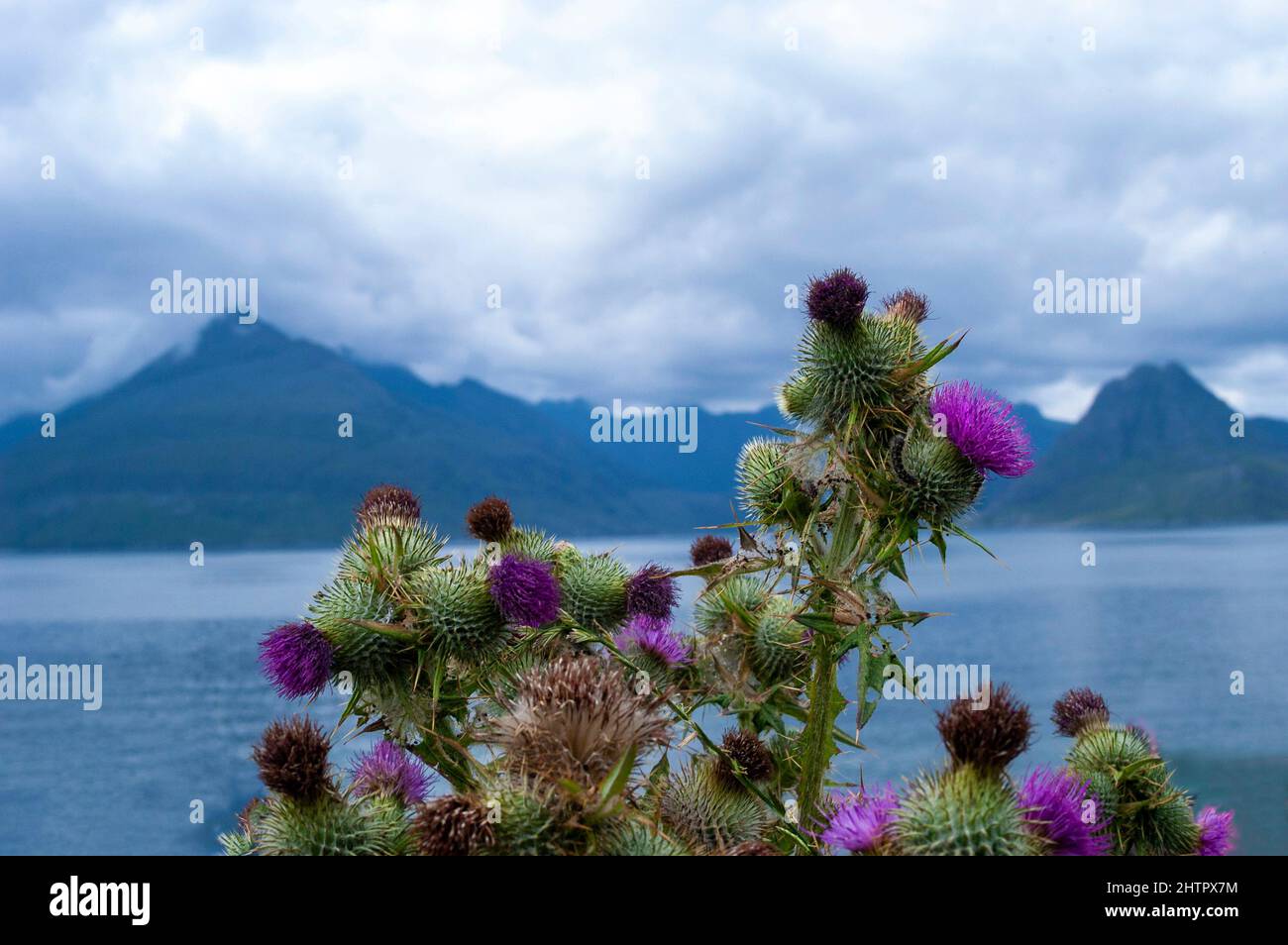 Blick über die Bucht von Bella Jane Boat Trips., Elgol, zu den Bergketten über Loch Coruisk .Isle of Skye, Schottland Stockfoto