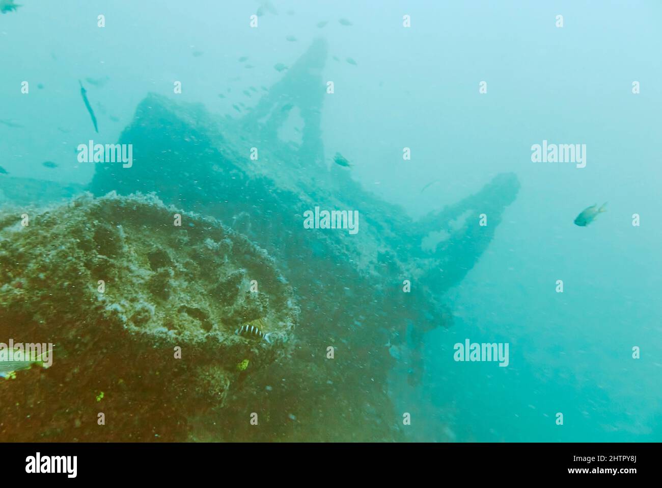 Ein zerstörtes Schiff, die Kwarcit, ein beliebter Tauchplatz vor der Südwestküste der Insel Sal, Kap Verde. Stockfoto