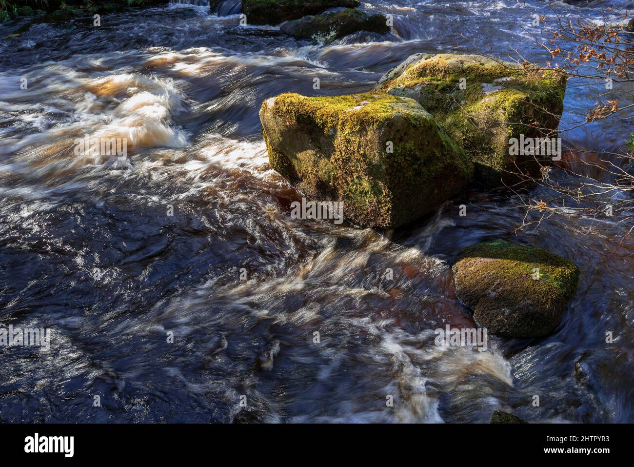 Rauschende Gewässer und moosbedeckte Felsen im Hebden Beck. West Yorkshire. Stockfoto
