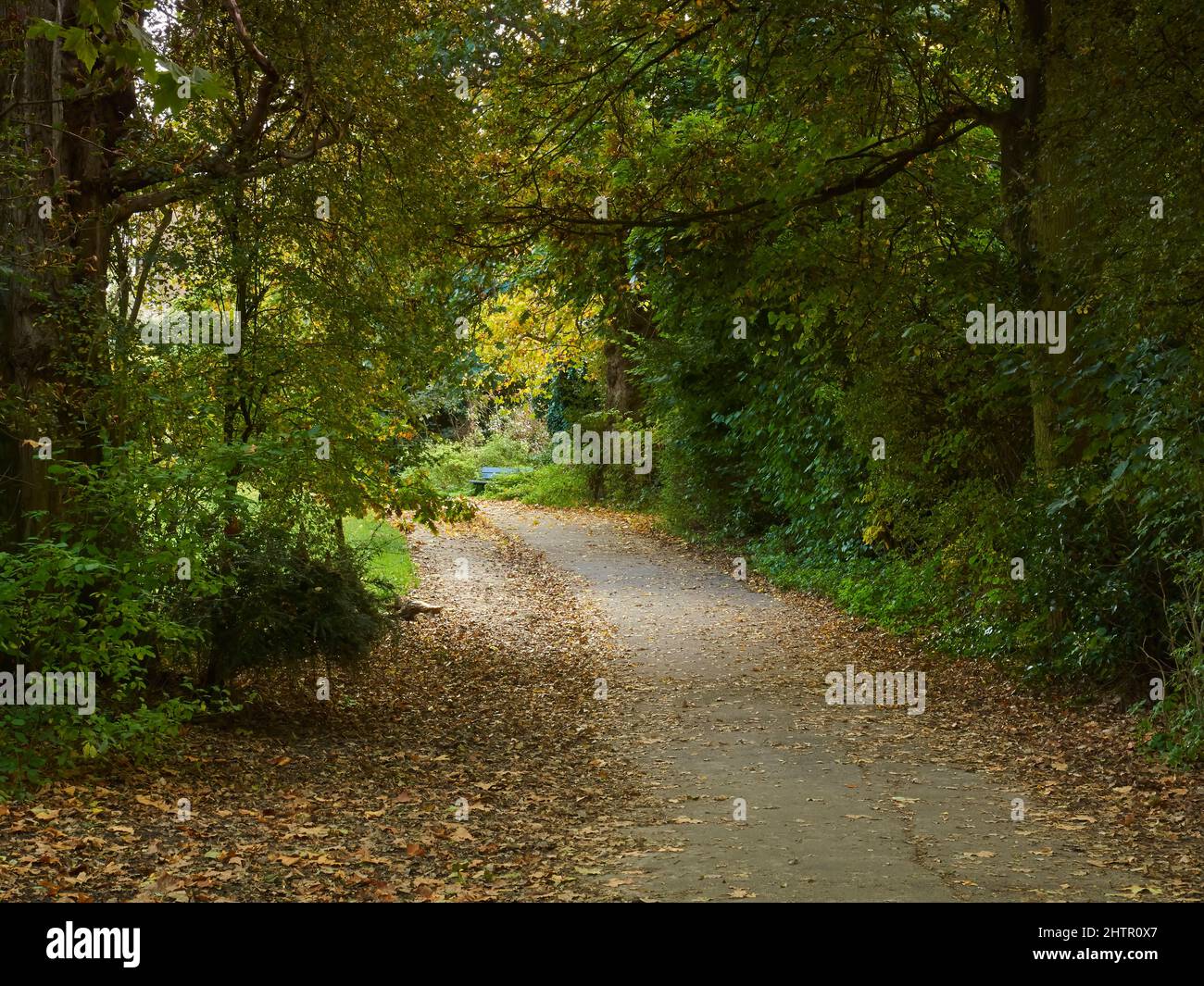 Ein von Bäumen gesäumter Pfad durch Hampstead Heath, der in die Ferne führt und zum Erkunden des herbstlich berührten Grüns einlädt. Stockfoto