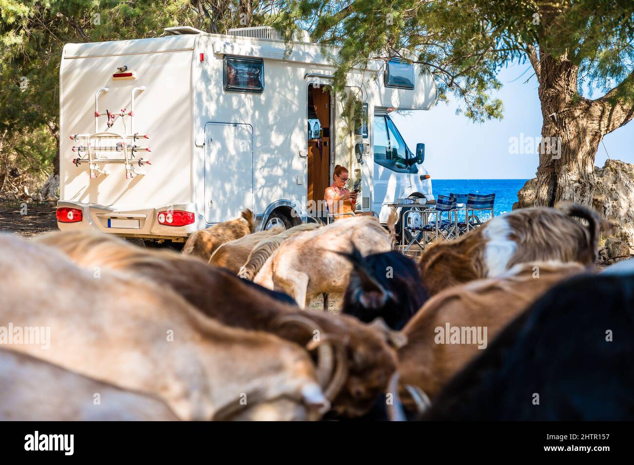 Familien, die mit dem Wohnmobil unterwegs sind, frühstücken am Strand unter Ziegen. Reisende auf einem aktiven Familienurlaub mit Wohnmobil RV auf dem Be geparkt Stockfoto
