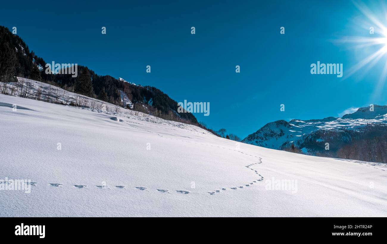 Fußabdrücke im Schnee in einer Winterlandschaft mit blauem Himmel und der Sonne in den Bergen des Grossarlbergs salzburg austria alpen Stockfoto