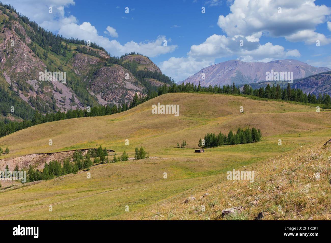Sommerlandschaft des Tals in den Altai-Bergen, Russland, bei sonnigem Wetter Stockfoto