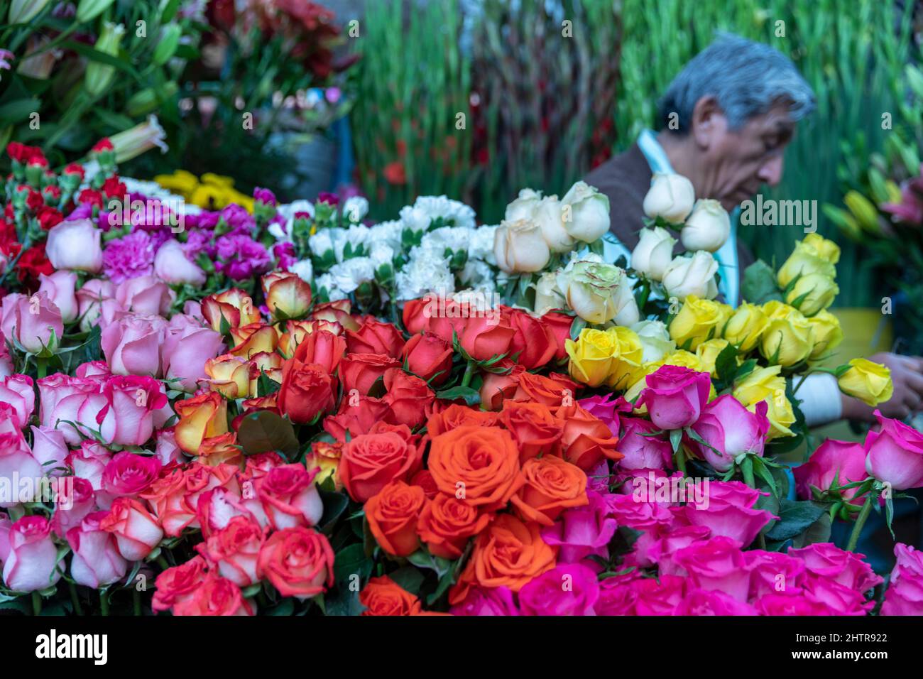 Mexiko, Guanajuato, San Miguel de Allende, Blumenarrangement an einem Blumenstand auf einem Markt Stockfoto
