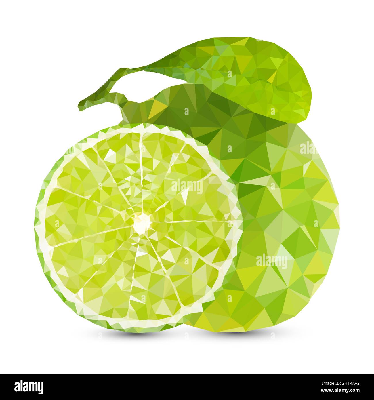 Polygon-Kalk-Vektorgrafik. Grüne polygonale Früchte isoliert auf weißem Hintergrund. Stock Vektor