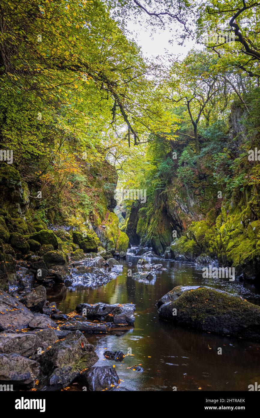Die Fairy Glen und den Fluss Conwy, in der Nähe von Betws y Coed, Snowdonia National Park, North Wales, UK Stockfoto