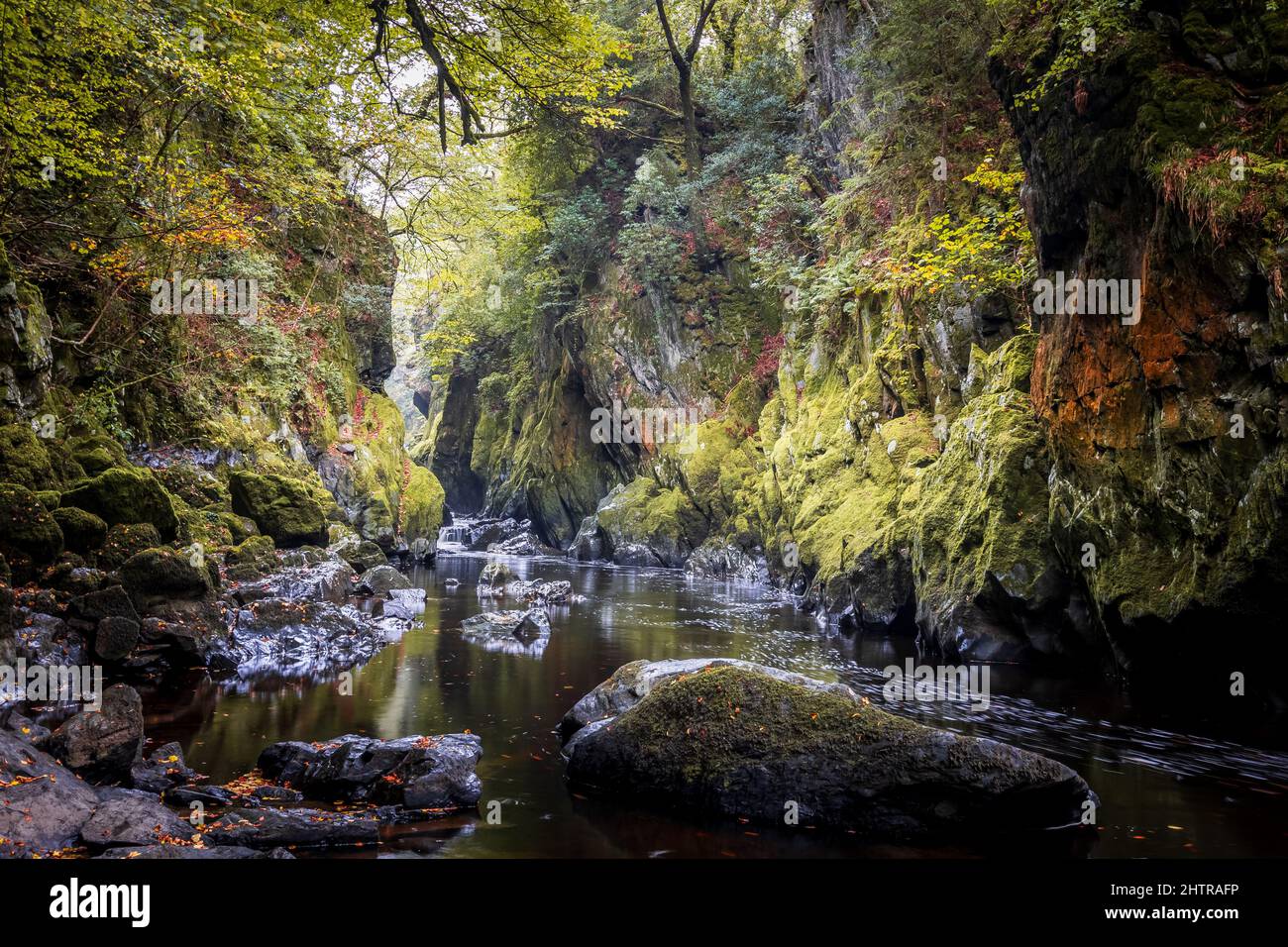 Die Fairy Glen und den Fluss Conwy, in der Nähe von Betws y Coed, Snowdonia National Park, North Wales, UK Stockfoto
