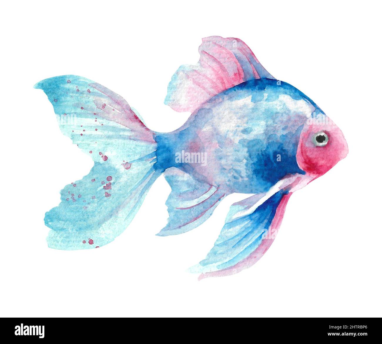 Aquarell-Fisch. Hand zeichnen blaue Fisch Illustration isoliert auf weißem Hintergrund. Meerestiere Stockfoto