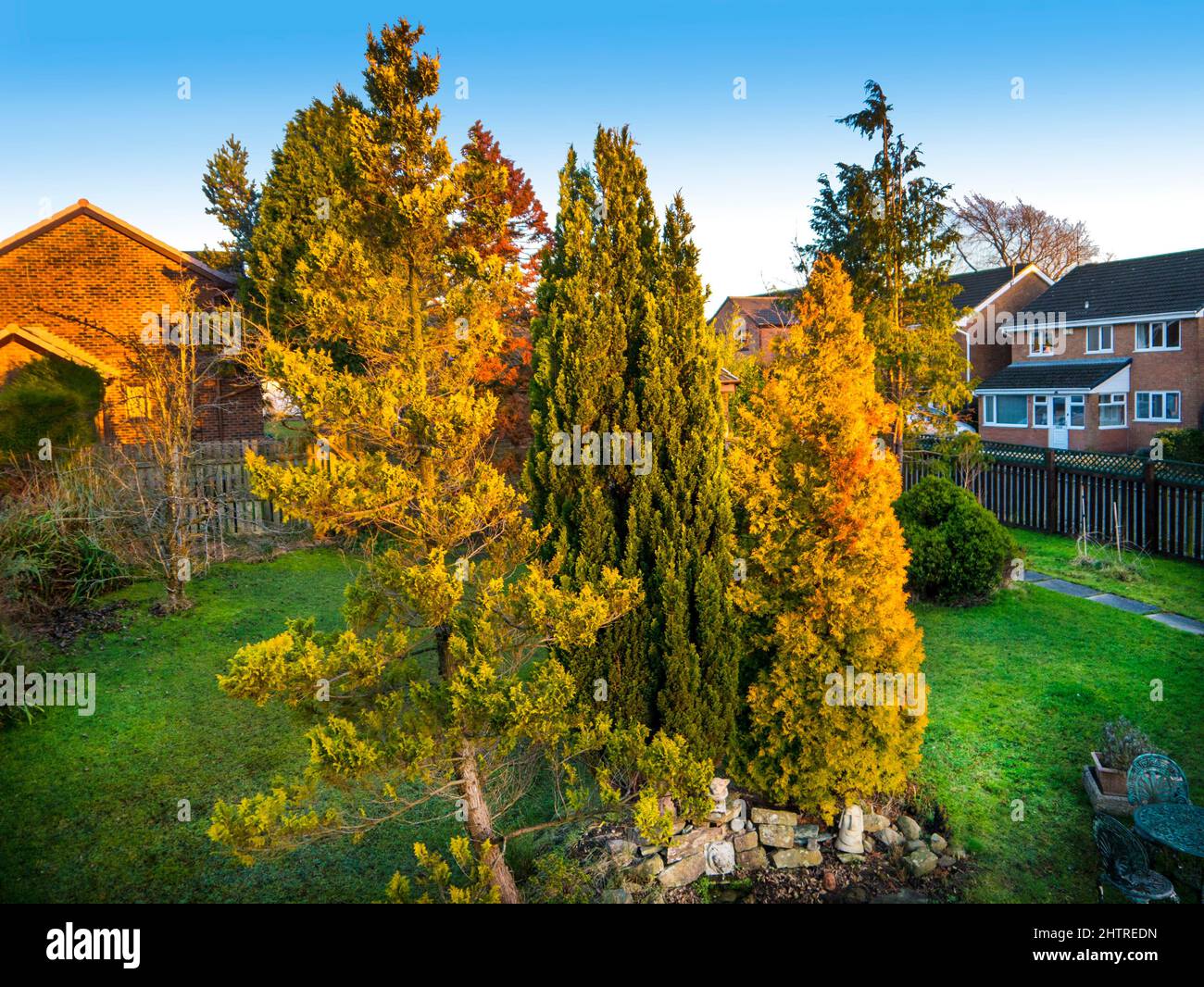 Burnley Garden im frühen Frühling in Nordengland Stockfoto Burnley Garden im frühen Frühling in Nordengland Stockfoto