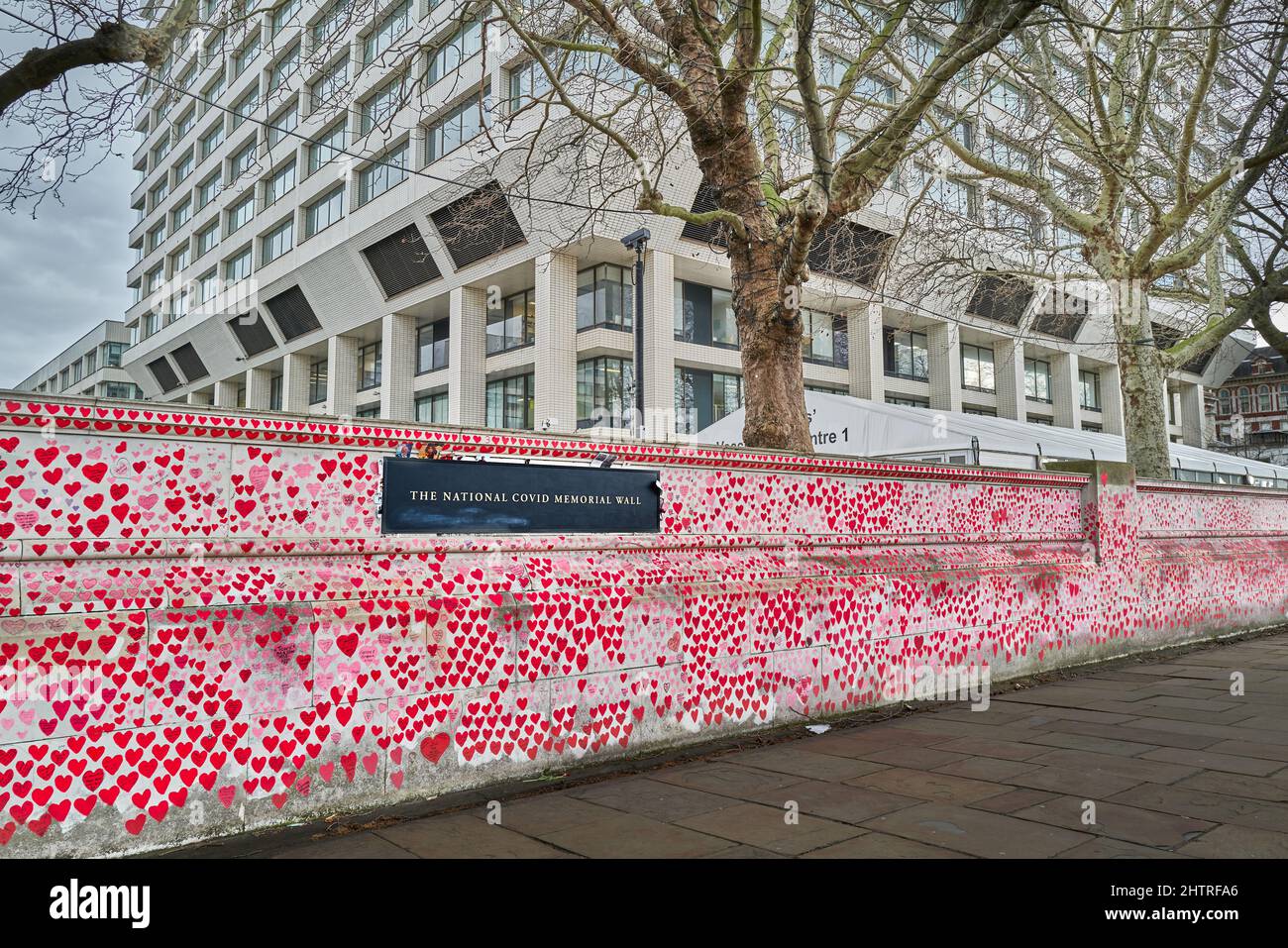 Die National Covid Gedenkmauer vor dem St. Thomas' NHS Hospital, am Ufer der Themse, London, England. Stockfoto