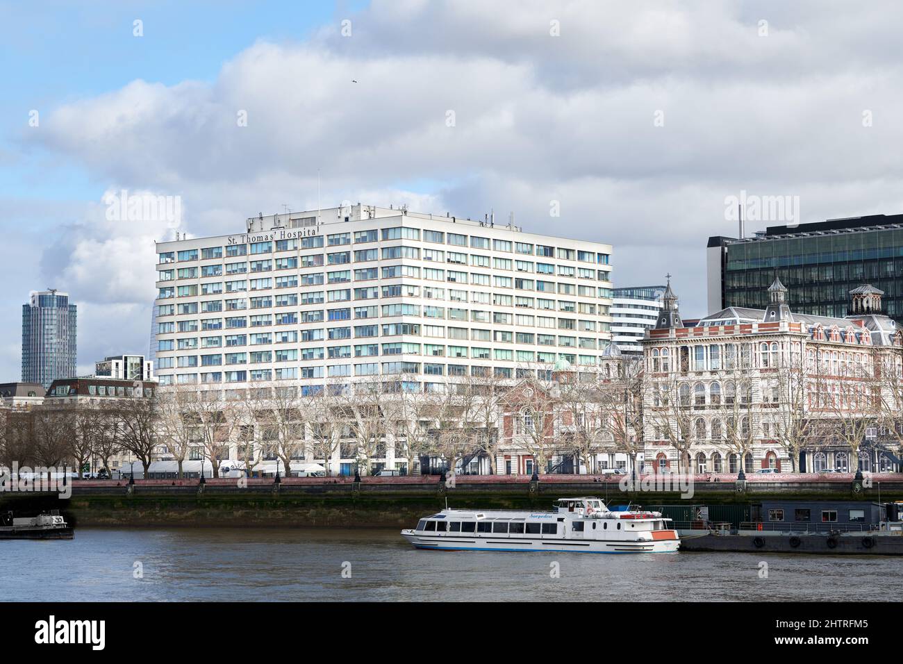 St. Thomas' NHS Hospital, am Ufer der Themse, London, England. Stockfoto