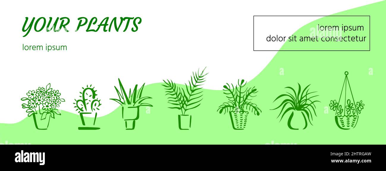 Grünes Banner oder Kopfzeile mit verschiedenen Topfpflanzen. Skizzenhafte Vektor-Design-Element mit Bild, Text und Copyspace für Web, Drucke Stock Vektor