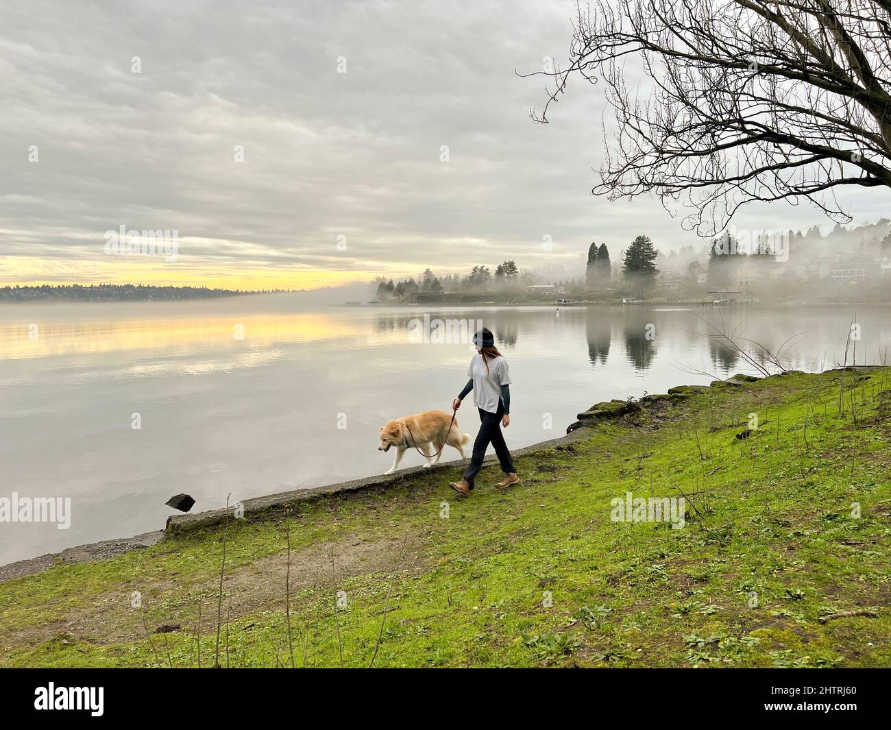 Weibchen und ihr Hund beim Spaziergang im Seward Park Stockfoto