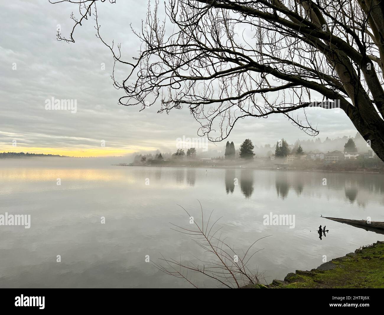 Nebel entlang der Uferpromenade im Seward Park in Seattle Stockfoto