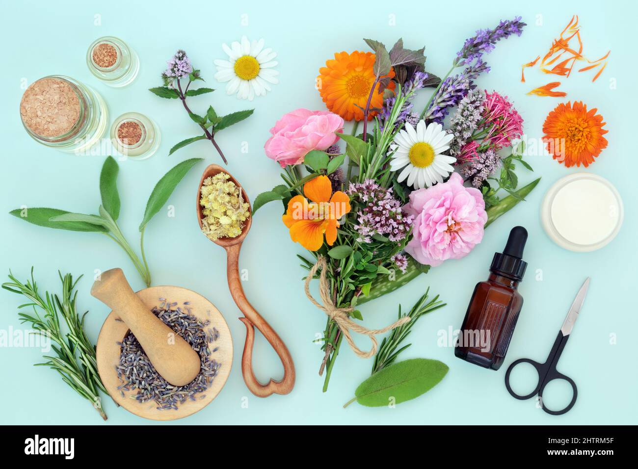 Zubereitung von Blumen und Kräutern für natürliche pflanzliche Heilmittel mit ätherischen Ölflaschen und feuchtigkeitsspendender Creme. Alternative Gesundheitsversorgung Stockfoto