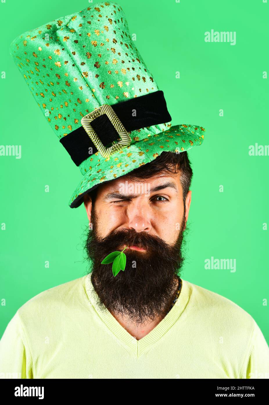 St. Patricks Tag. Winkender bärtiger Mann in grünem Hut mit Kleeblatt im Mund. Frühlingsferien. Irische Tradition. Stockfoto
