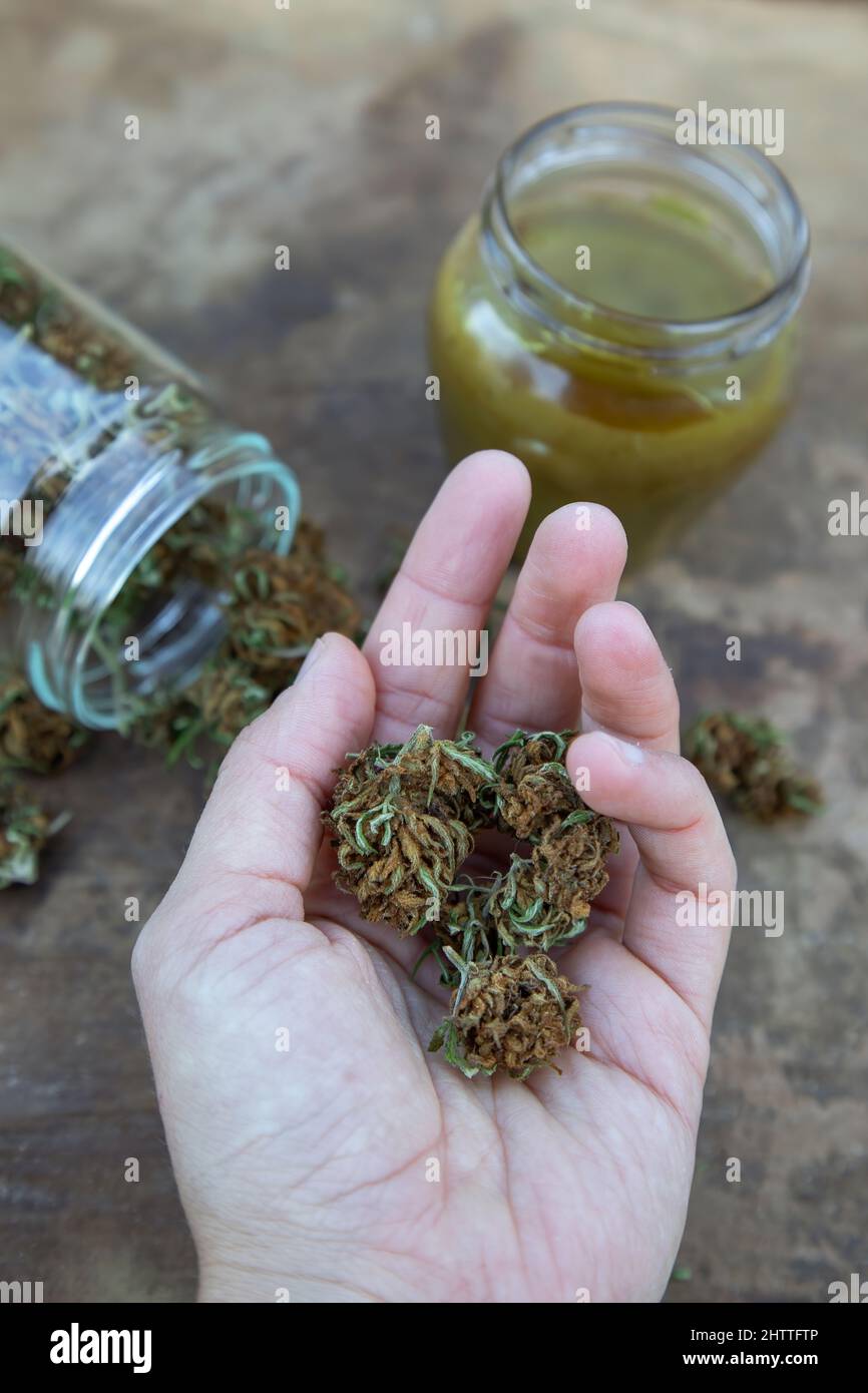 Biologisch erzeugtes medizinisches Marihuana zur Behandlung von Schmerzen, Entzündungen und anderen Beschwerden. Frauenhand mit getrockneter Marihuanaknospe. Stockfoto