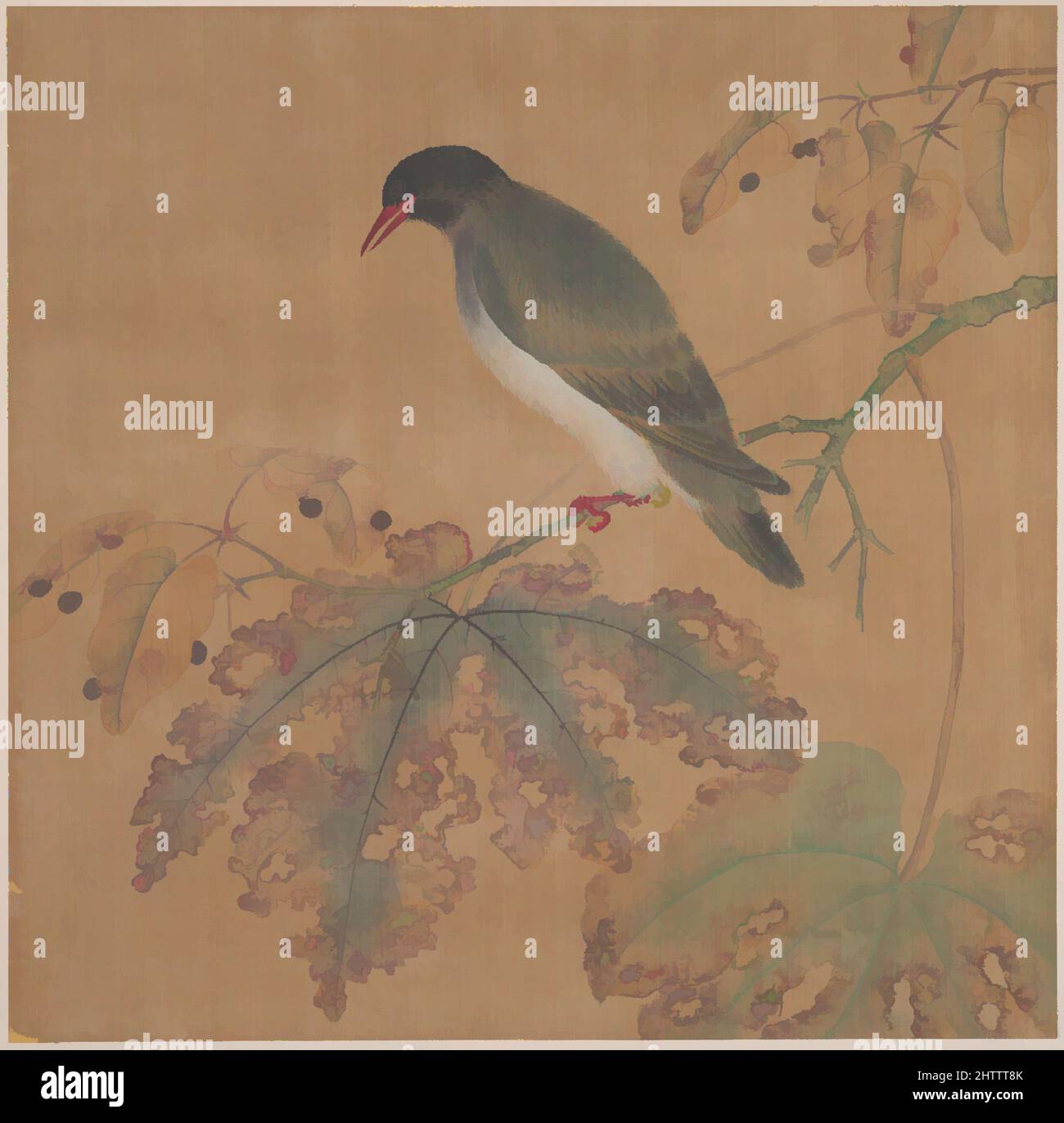 Kunst inspiriert von Bird on Branch, Qing-Dynastie (1644–1911), China, Fan montiert als Albumblatt; Tinte und Farbe auf Seide, 10 3/4 x 10 7/8 Zoll (27,3 x 27,6 cm), Gemälde, nicht identifizierter Künstler, Klassisches Werk, das von Artotop mit einem Schuss Moderne modernisiert wurde. Formen, Farbe und Wert, auffällige visuelle Wirkung auf Kunst. Emotionen durch Freiheit von Kunstwerken auf zeitgemäße Weise. Eine zeitlose Botschaft, die eine wild kreative neue Richtung verfolgt. Künstler, die sich dem digitalen Medium zuwenden und die Artotop NFT erschaffen Stockfoto