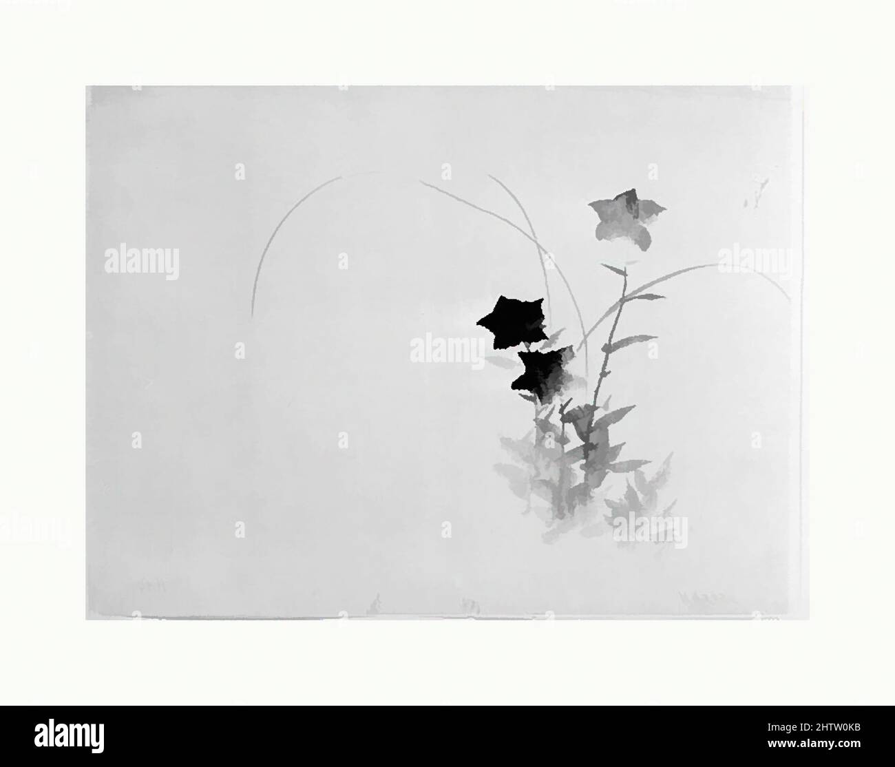 Kunst inspiriert von Bellflower, Edo-Zeit (1615–1868), 19. Jahrhundert, Japan, unberittene Malerei; Tinte auf Papier, 10 7/8 x 14 1/2 Zoll (27,6 x 36,8 cm), Gemälde, Hokusai-Schule, Klassische Werke, die von Artotop mit einem Schuss Moderne modernisiert wurden. Formen, Farbe und Wert, auffällige visuelle Wirkung auf Kunst. Emotionen durch Freiheit von Kunstwerken auf zeitgemäße Weise. Eine zeitlose Botschaft, die eine wild kreative neue Richtung verfolgt. Künstler, die sich dem digitalen Medium zuwenden und die Artotop NFT erschaffen Stockfoto