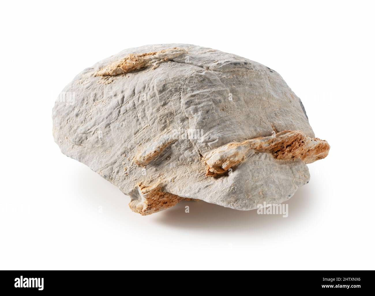 Geschichtete Steine vor weißem Hintergrund. Steine für das Aquarium Layout. Stockfoto