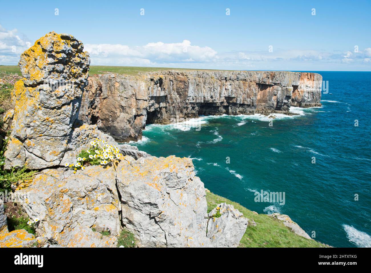 Felsenküste im Pembrokeshire National Park, Wales, Großbritannien Stockfoto