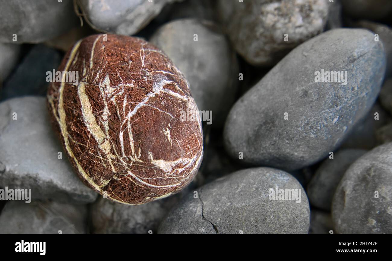 Nahaufnahme, roter Stein, umgeben von nichts als grauen Steinen Stockfoto