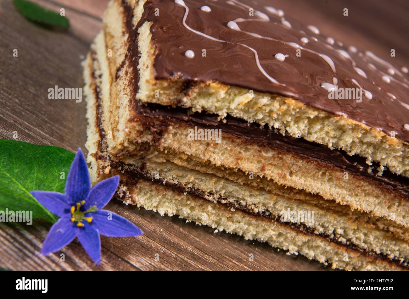 Cake Opera auf braunem Hintergrund, Gebäck Stockfoto