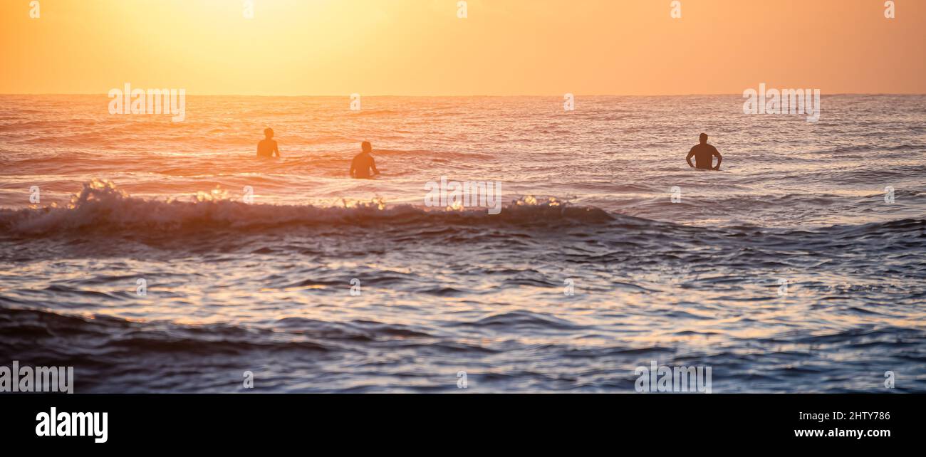 „Dawn patrouillieren“ Surfer bei Sonnenaufgang und warten auf Wellen am Jacksonville Beach im Nordosten Floridas. (USA) Stockfoto