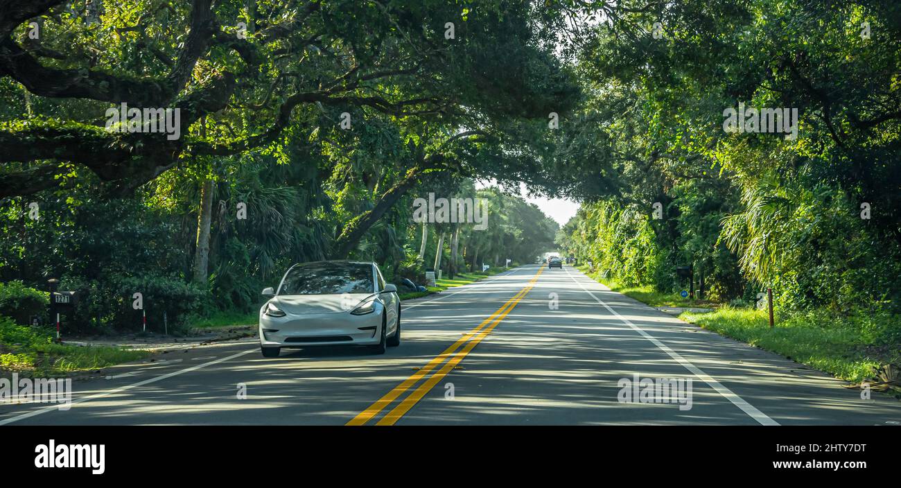Baumkrone über dem landschaftlich schönen Florida Highway A1A in Ponte Vedra Beach, Florida, nördlich von St. Augustine. (USA) Stockfoto