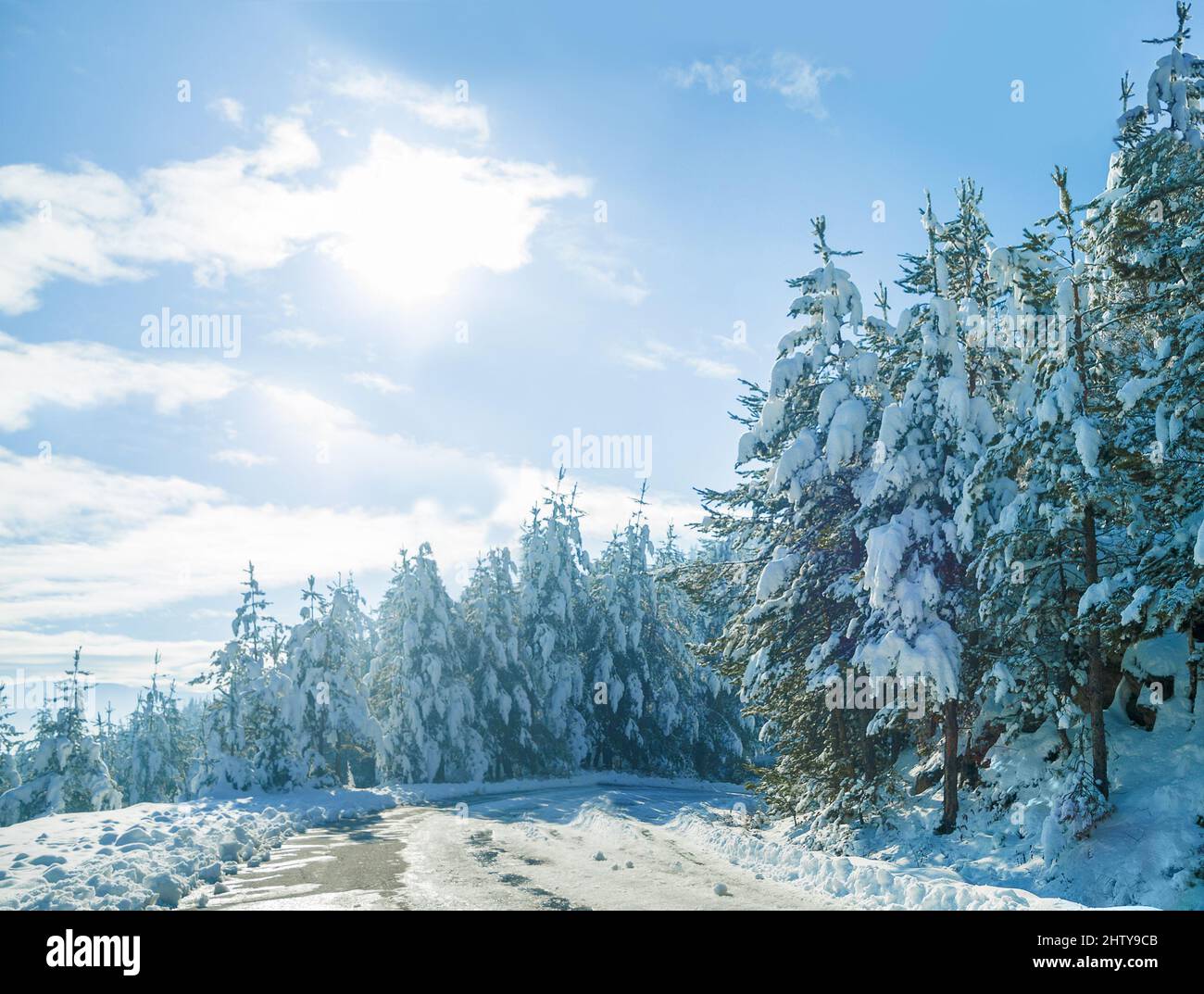 Bäume im Winter. Bild einer verschneiten Landschaft. Stockfoto