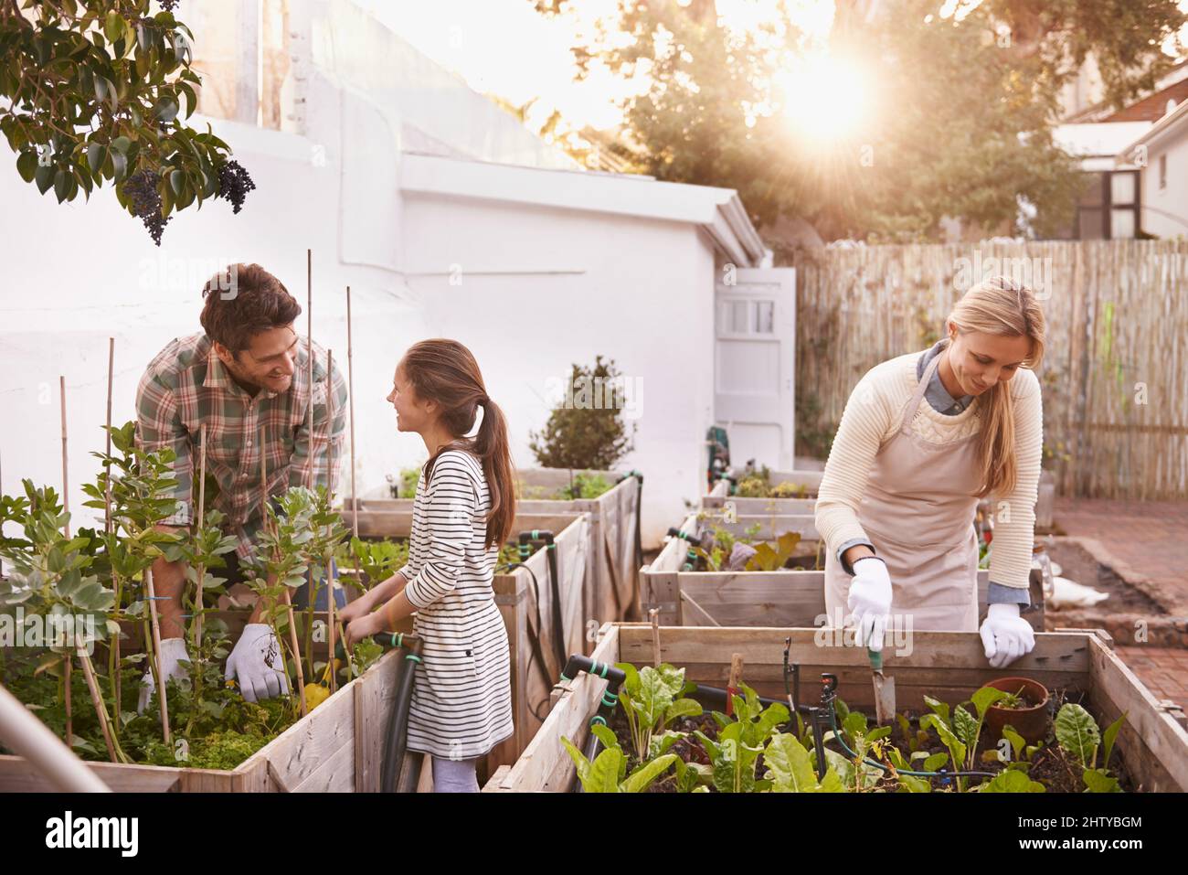 Einige Gartenarbeit als Familie getan. Aufnahme einer Familie, die in ihrem Hinterhof gemeinsam gärtnerte. Stockfoto