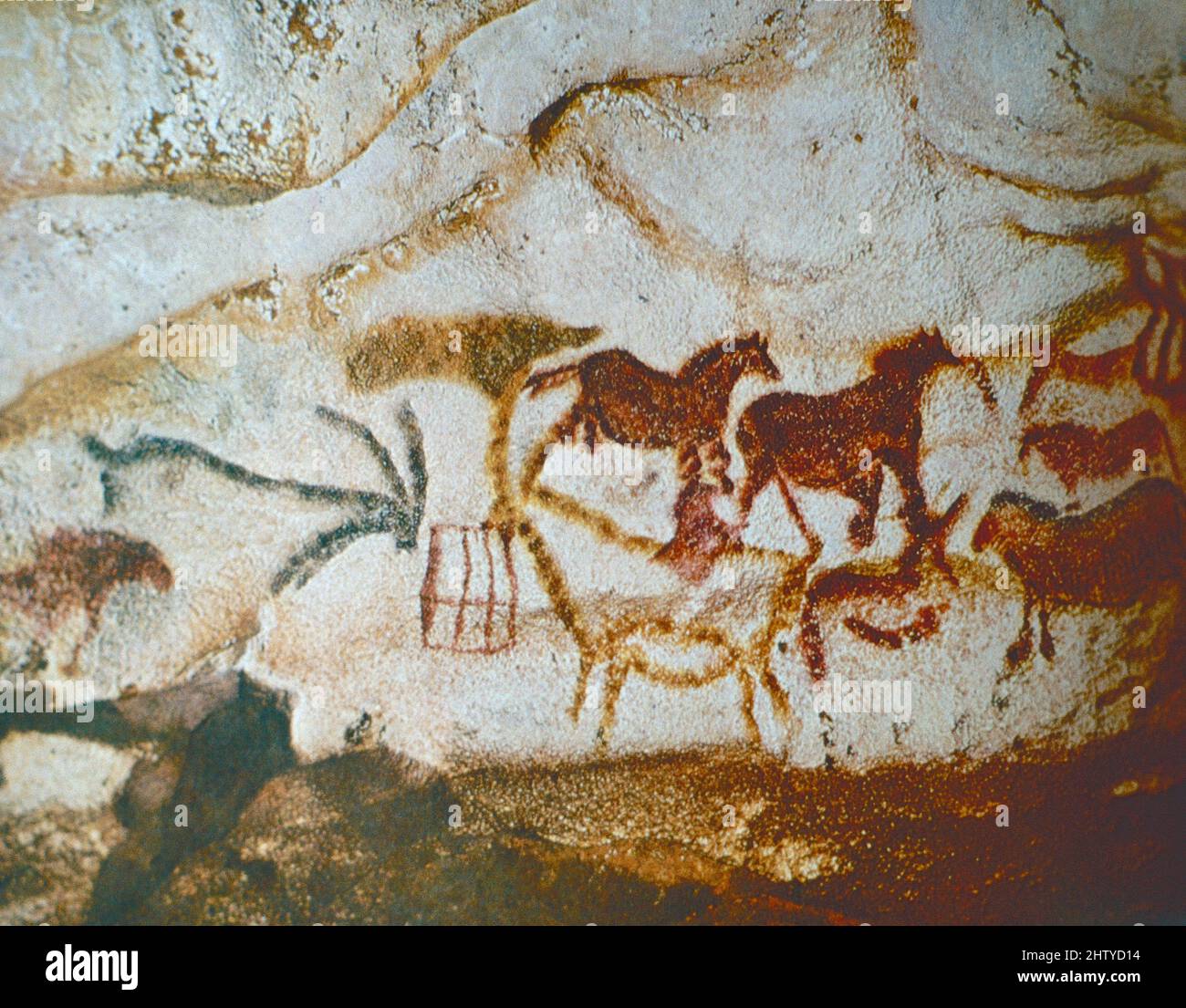 Paläolithische Höhlenmalerei, Lascux-Höhle, Frankreich 15.000 v. Chr. ca. Stockfoto