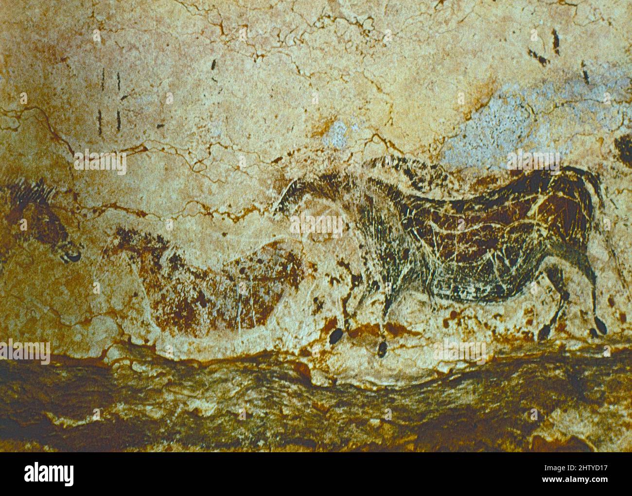 Paläolithische Höhlenmalerei, Lascux-Höhle, Frankreich 15.000 v. Chr. ca. Stockfoto