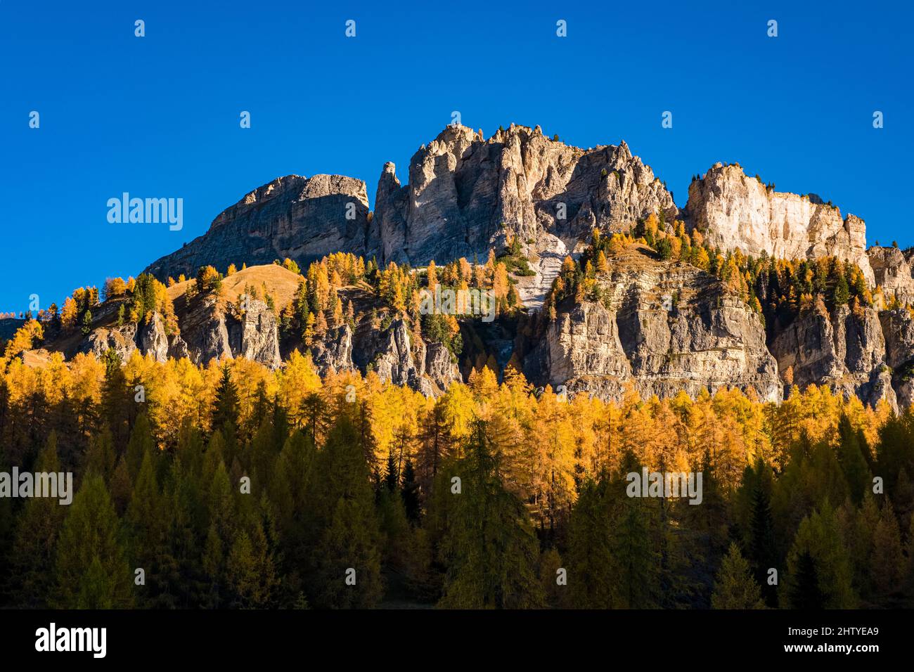 Die Felsformation Monte Cristallo, von Süden gesehen, umgeben von bunten Lärchen und Pinien im Herbst. Stockfoto