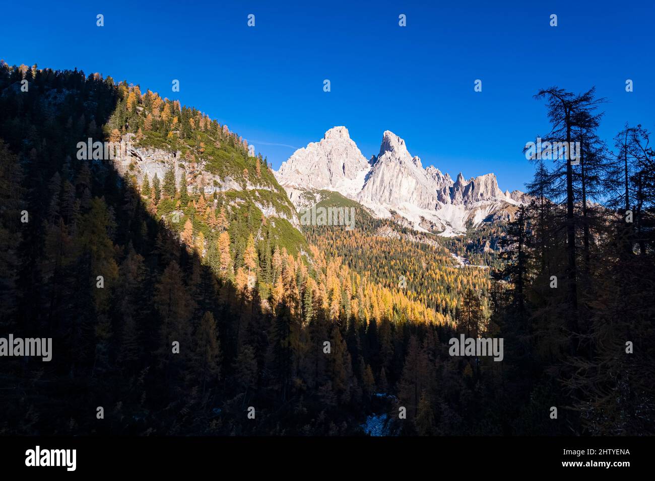 Die Felsformation Monte Cristallo, von Südosten gesehen, umgeben von bunten Lärchen und Pinien im Herbst. Stockfoto
