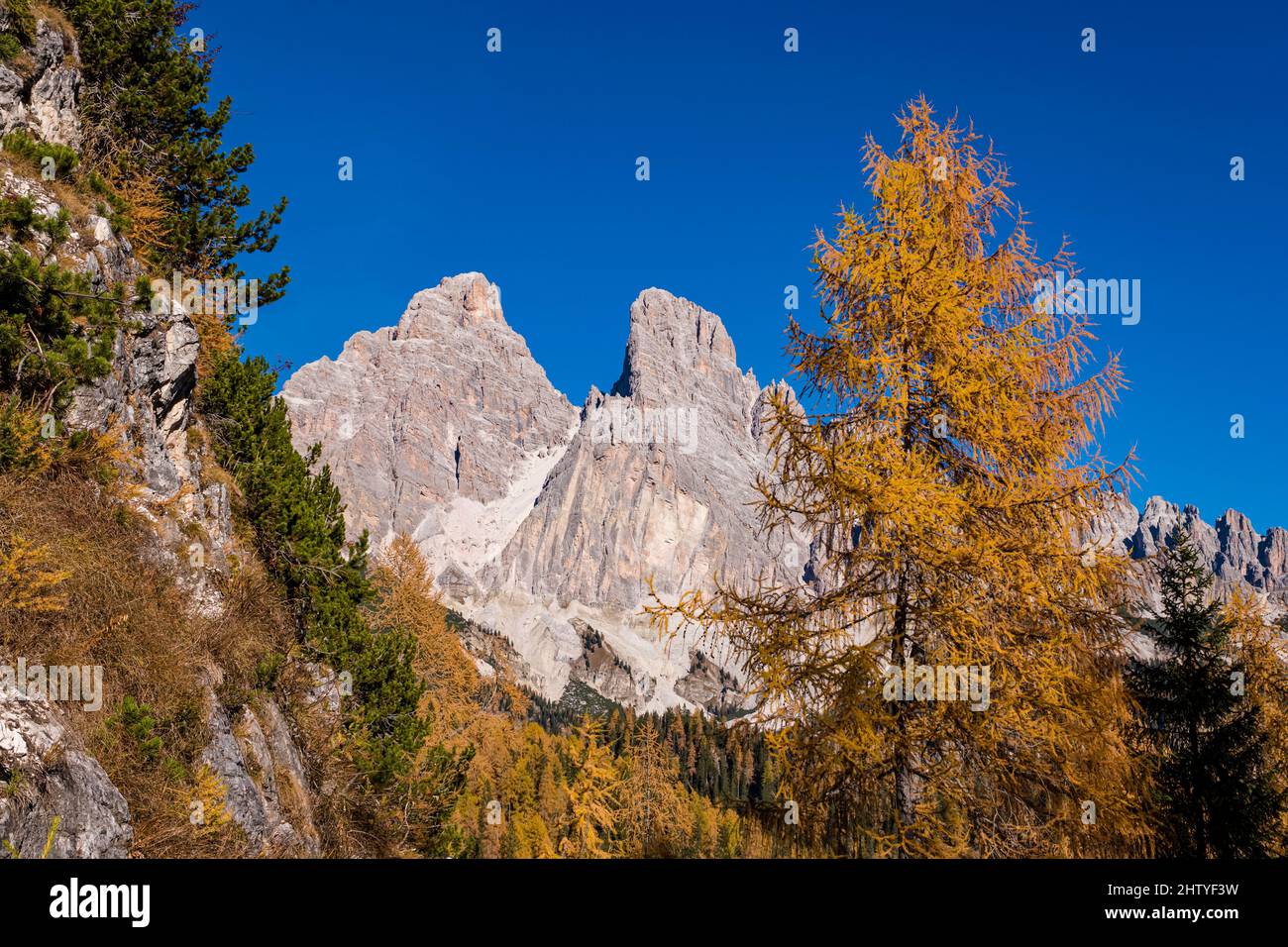 Die Felsformation Monte Cristallo, von Südosten gesehen, umgeben von bunten Lärchen und Pinien im Herbst. Stockfoto