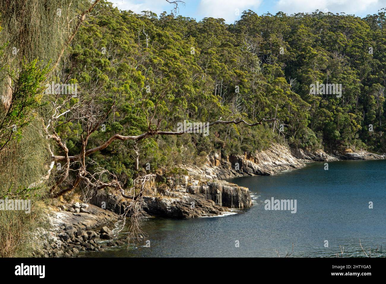 Fortescue Bay, Tasmanische Halbinsel, Tasmanien, Australien Stockfoto