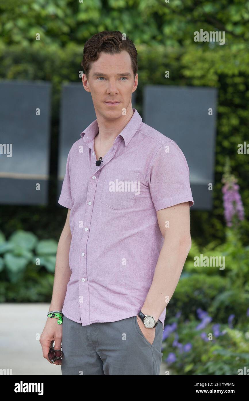 Benedict Cumberbatch auf der Chelsea Flower Show 2014 Stockfoto