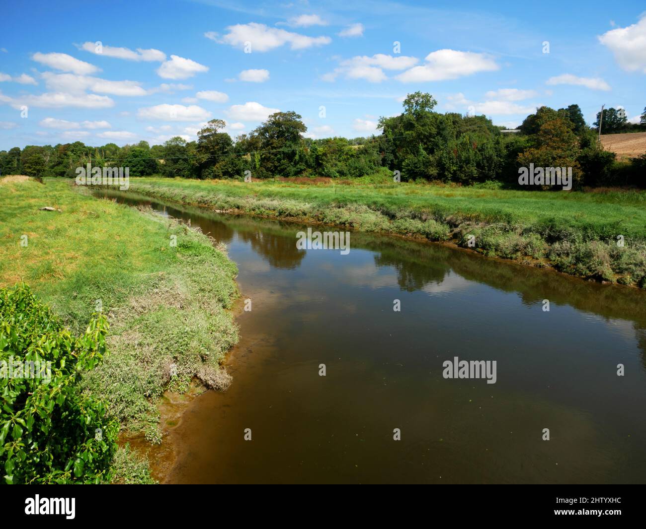 River Camel neben Camel Trail, Wadebridge, Cornwall. Stockfoto