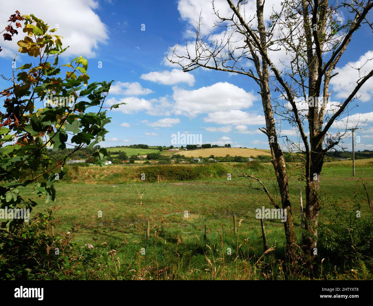 Egloshayle vom Camel Trail, Wadebridge, Cornwall aus gesehen. Stockfoto