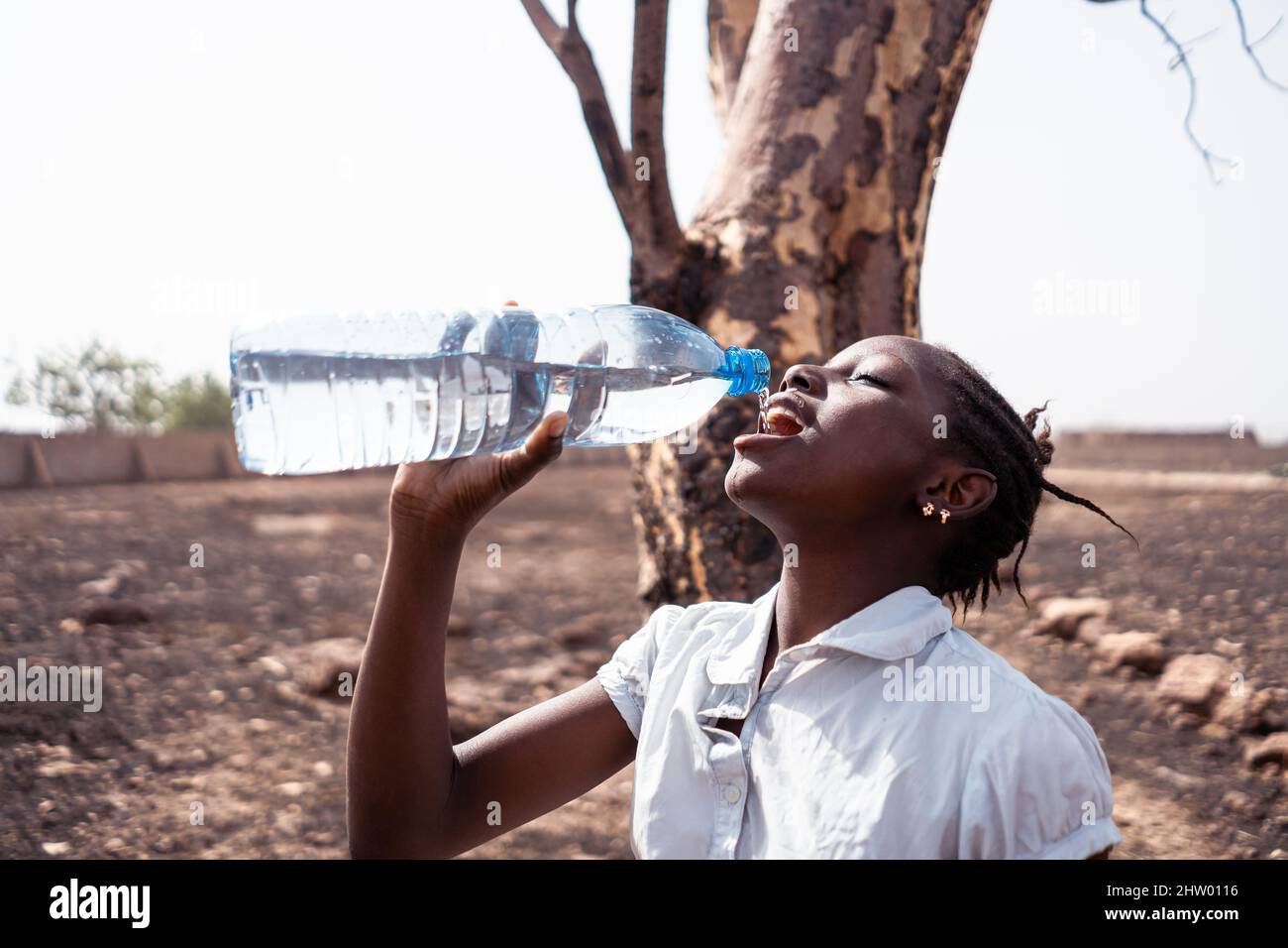 Durstiges junges schwarzes afrikanisches Mädchen, das unter einem verwelkten Baum in einer trockenen, trockenen Landschaft steht, trinkt mit Streit Wasser aus einer Plastikflasche; Wassershorta Stockfoto