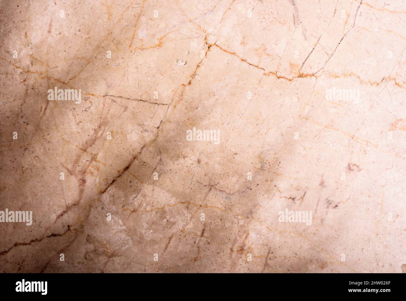 Luxuriöser beigefarbener Marmorhintergrund mit tropischem Palmenblatt-Schatten. Draufsicht. Natürliches organisches Material mit Sonnenscheinlicht. Layout in neutralen Farbtönen für den Sommer. Stockfoto