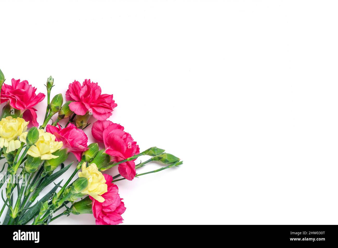 Blumenstrauß rosa Nelke isoliert auf weißem Hintergrund Draufsicht Flat Lay Holiday Card 8 März, Happy Valentine's day, Mutter, Memorial, lehren Stockfoto