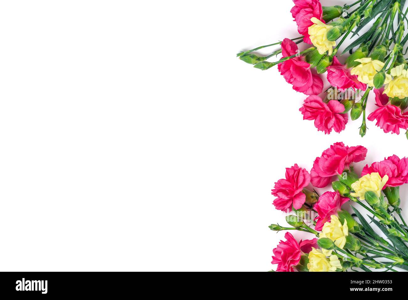 Blumenstrauß rosa Nelke isoliert auf weißem Hintergrund Draufsicht Flat Lay Holiday Card 8 März, Happy Valentine's day, Mutter, Memorial, lehren Stockfoto