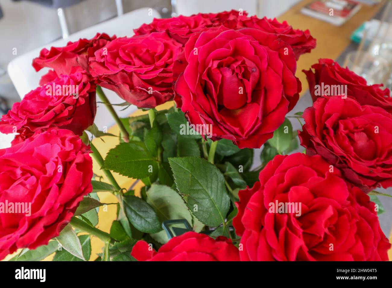 Ein Dutzend roter Rosen Stockfoto