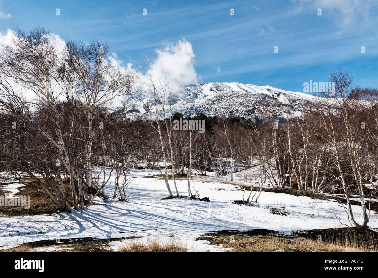 Der Gipfel des Ätna (3357m), Sizilien, Italien, gesehen im späten Winter aus dem silbernen Birkenwald an seinen unteren Hängen Stockfoto