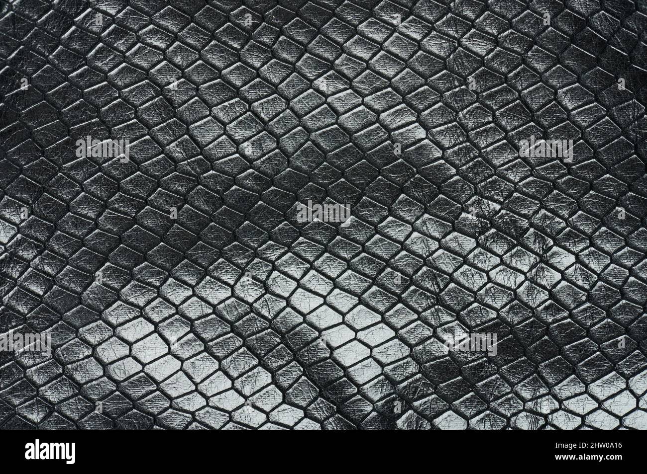 Rhombus Form schwarze Haut Textur Hintergrund Makro Nahaufnahme Stockfoto