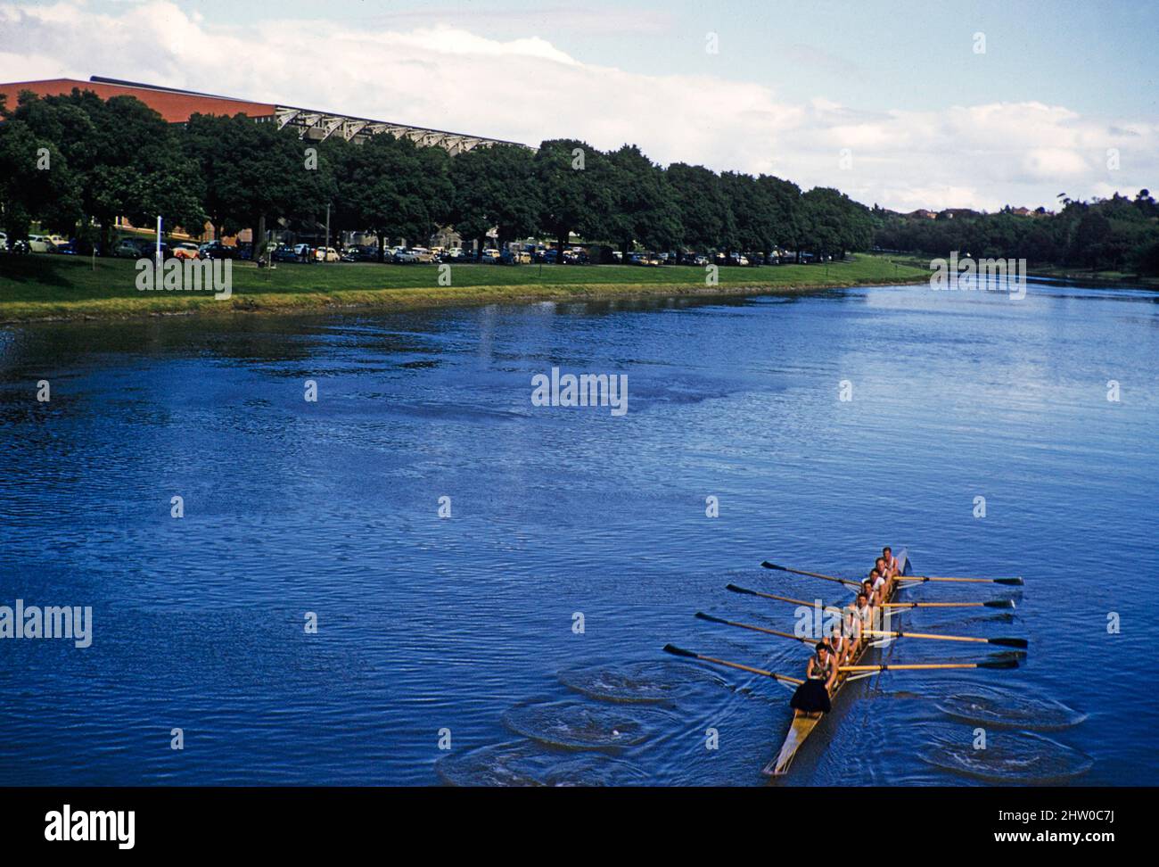 Die Herren haben acht Ruderer auf dem Yarra River, möglicherweise verbunden mit Henley auf der Yarra-Regatta, Melbourne, Victoria, Australien, 1956, gemischt Stockfoto